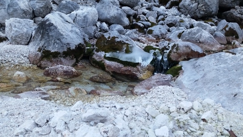 Slika