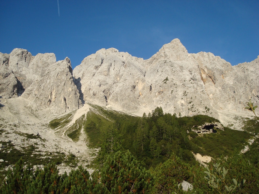 Slika