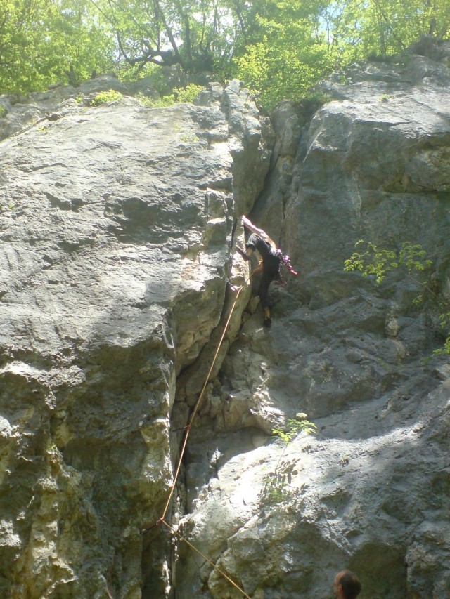 Slika