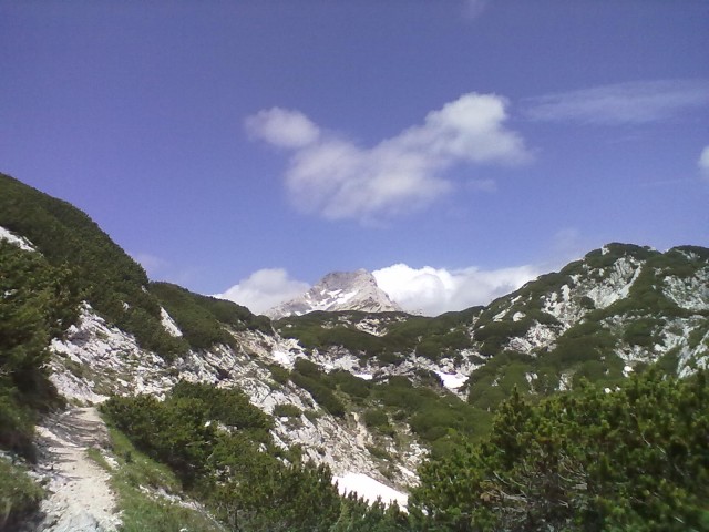 Slika