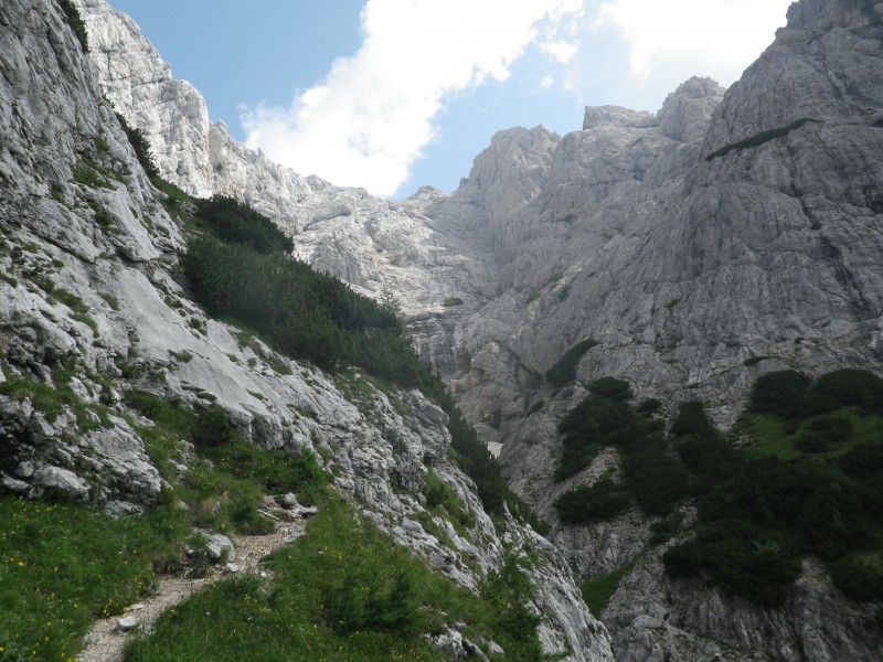 Slika