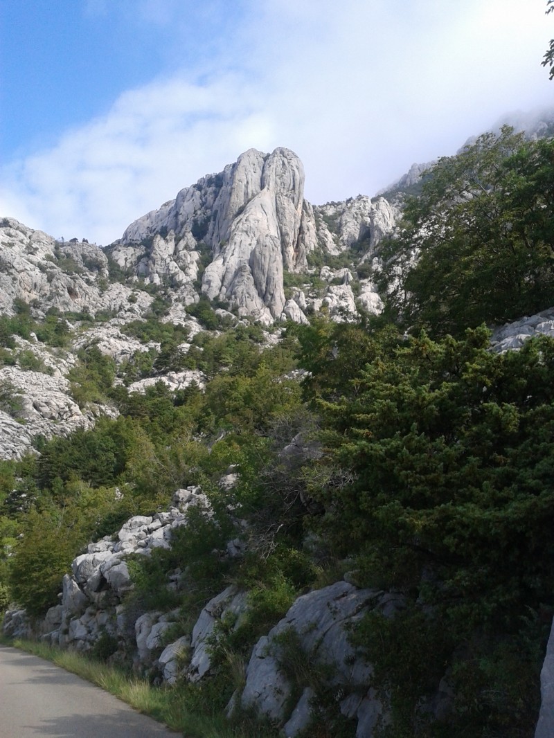 Slika
