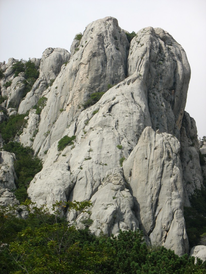 Slika