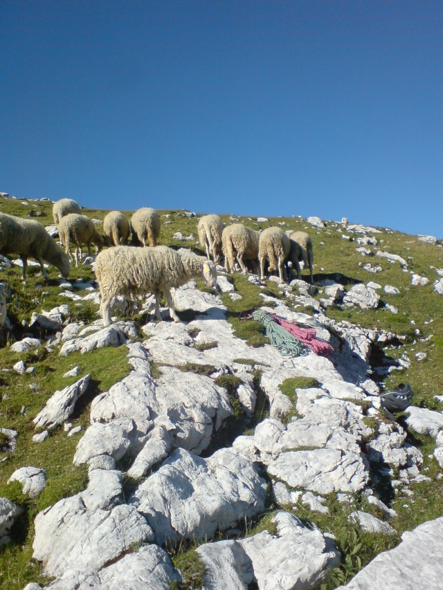 Slika