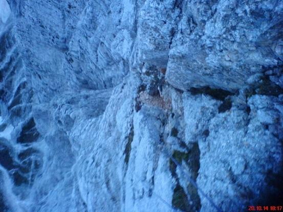 Slika