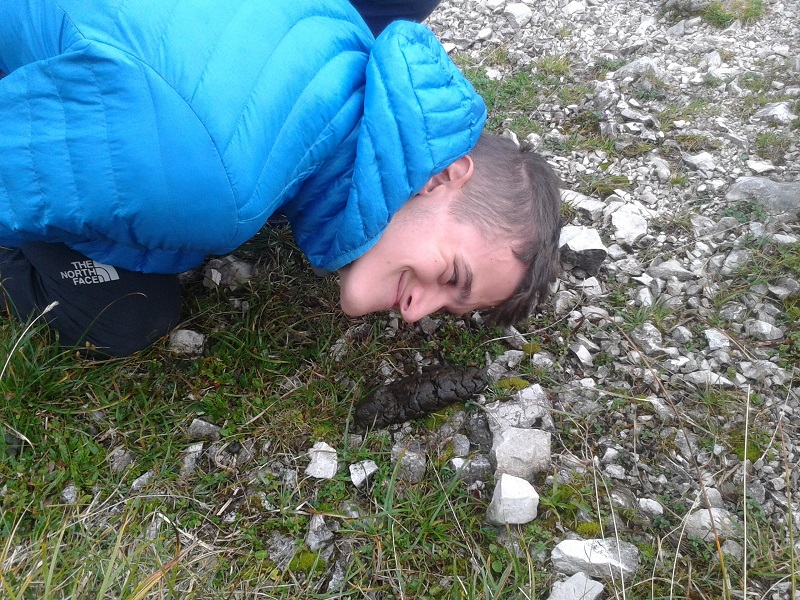 Slika