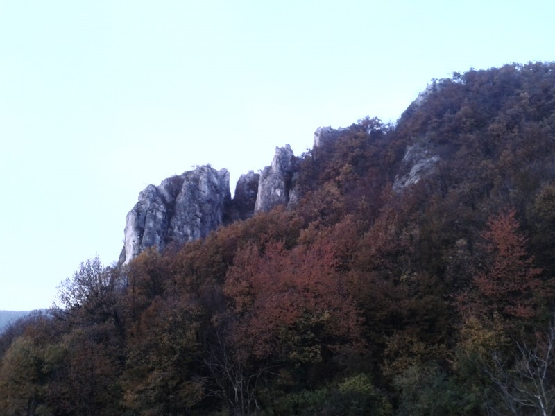 Slika