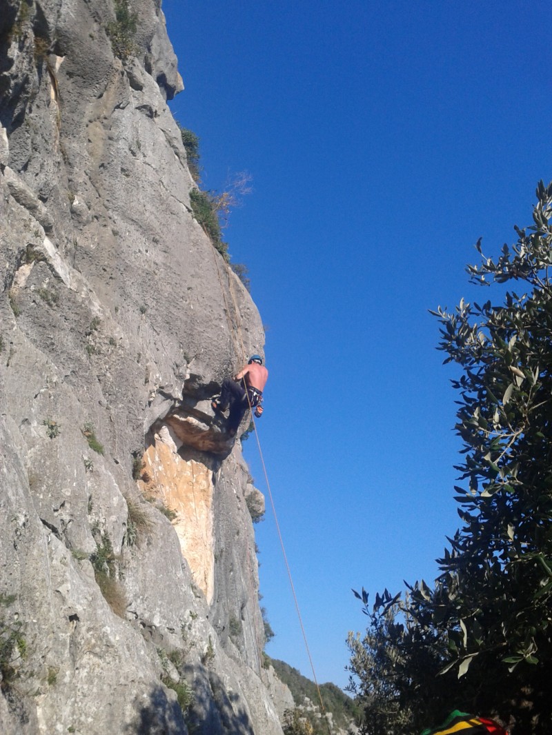 Slika