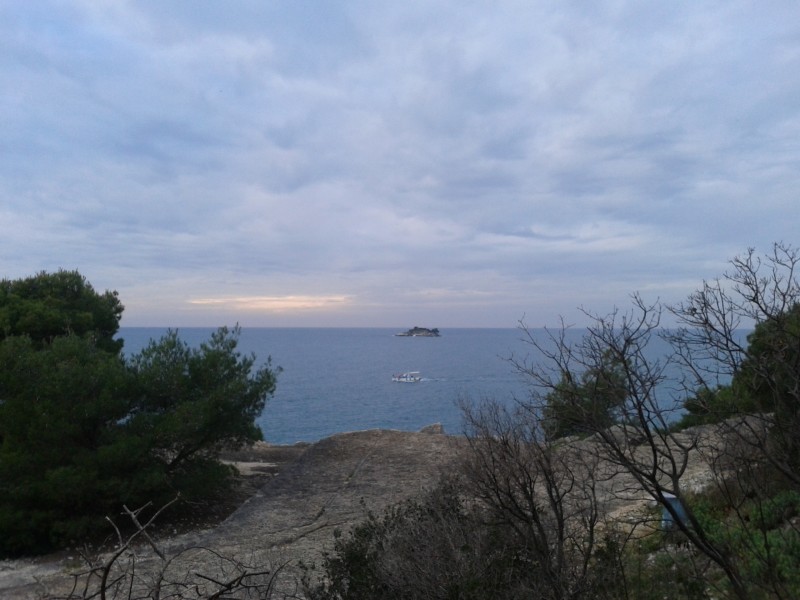 Slika