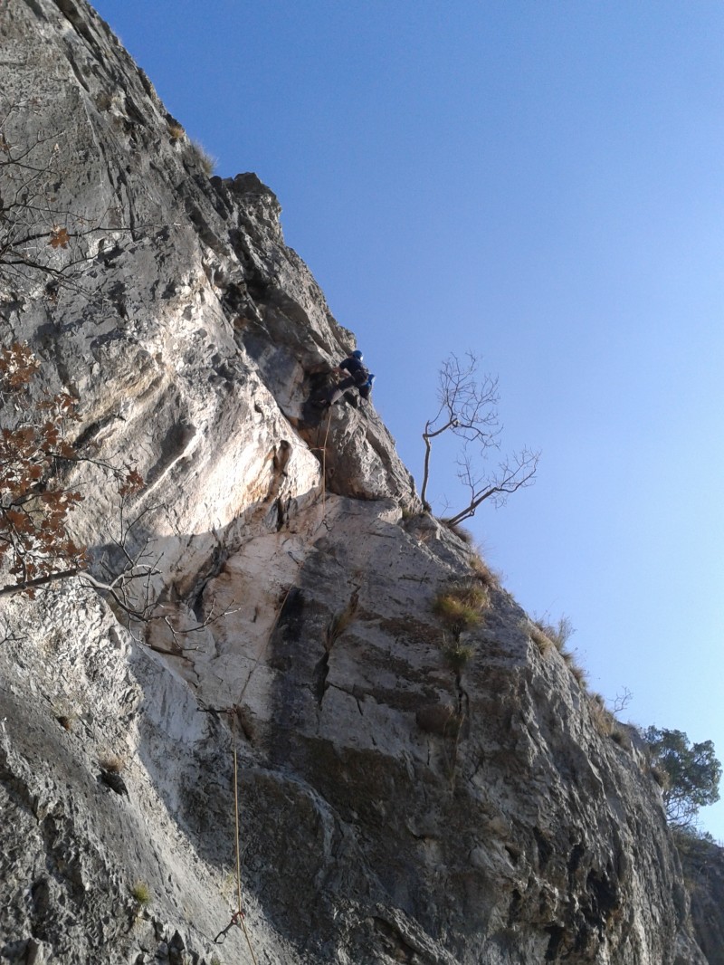 Slika