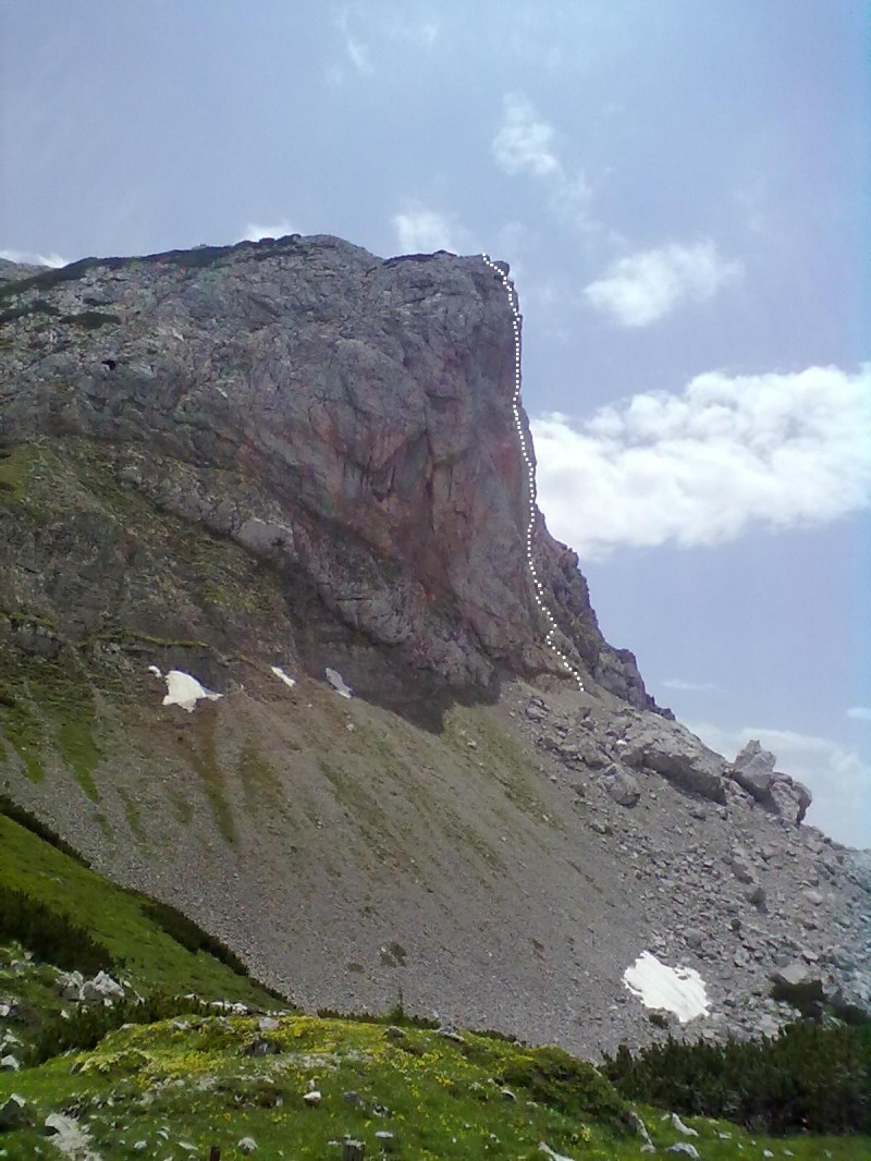 Slika