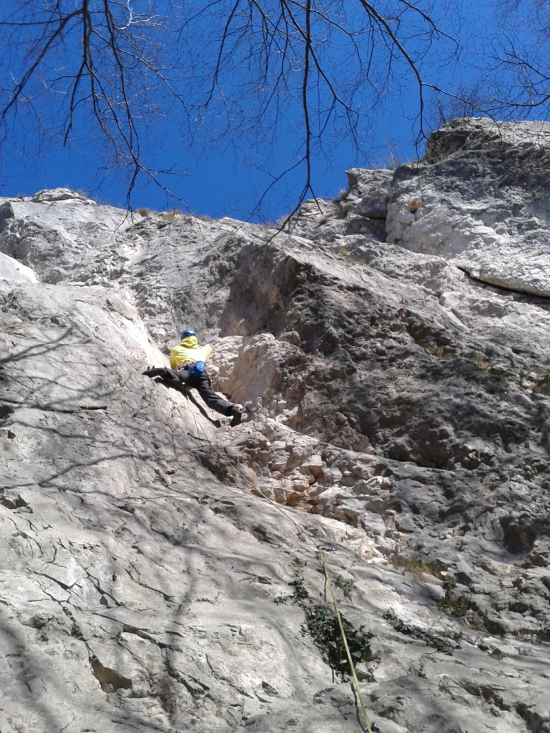 Slika