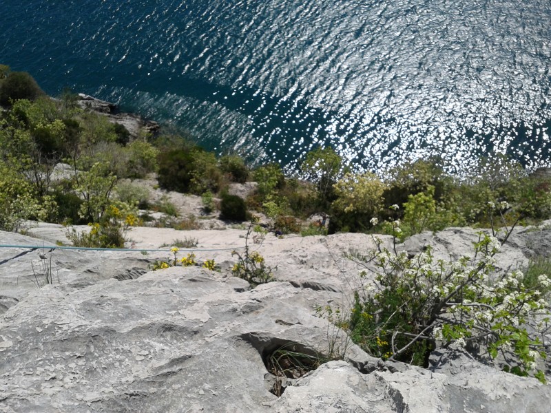 Slika