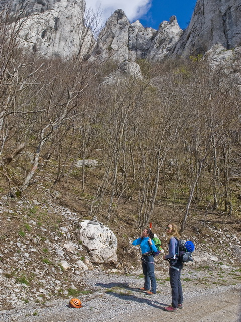 Slika