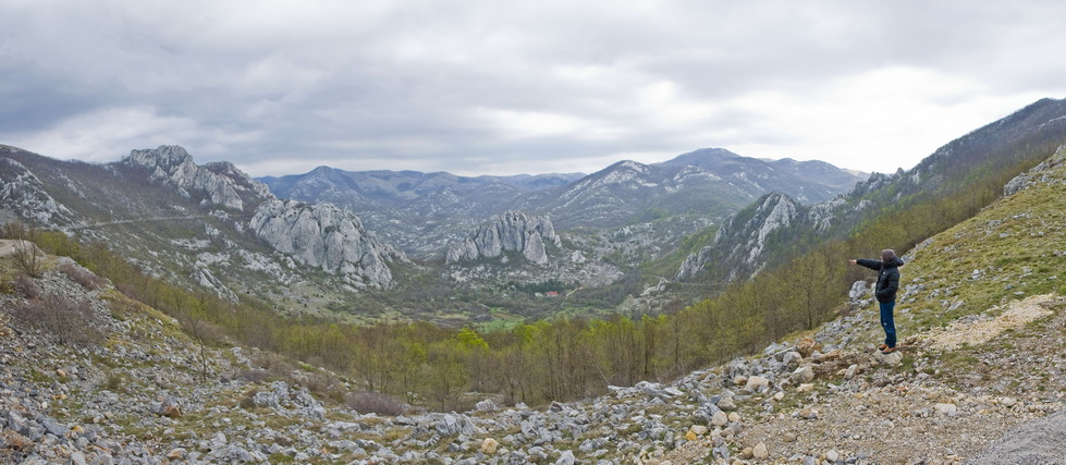 Slika