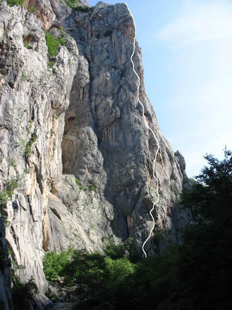 Slika