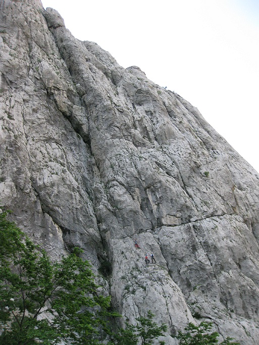 Slika