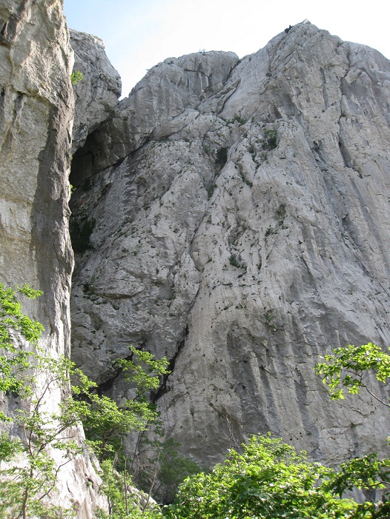 Slika