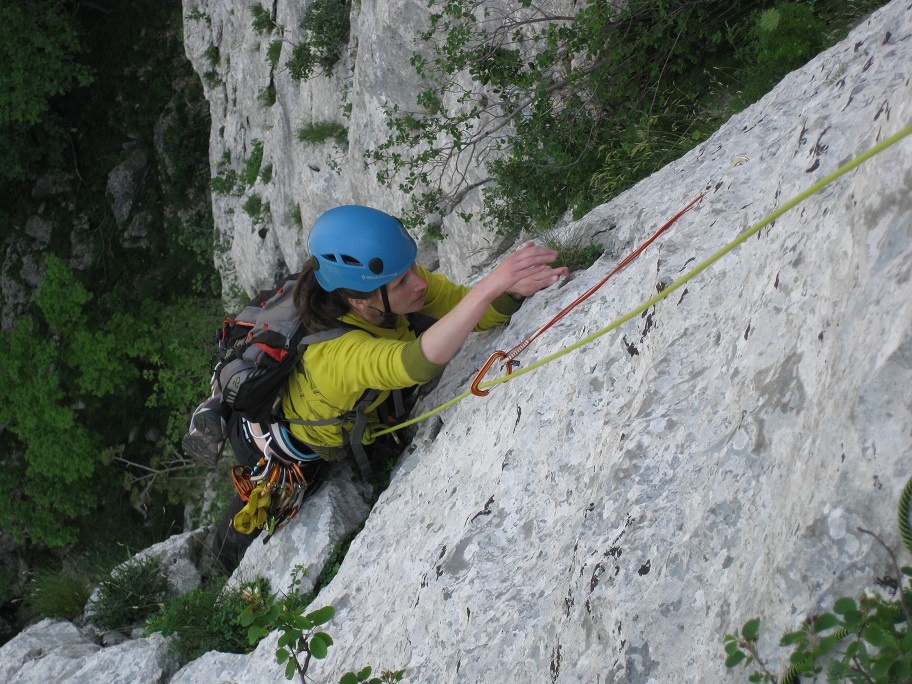 Slika