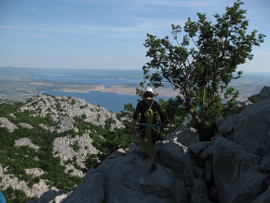 Slika