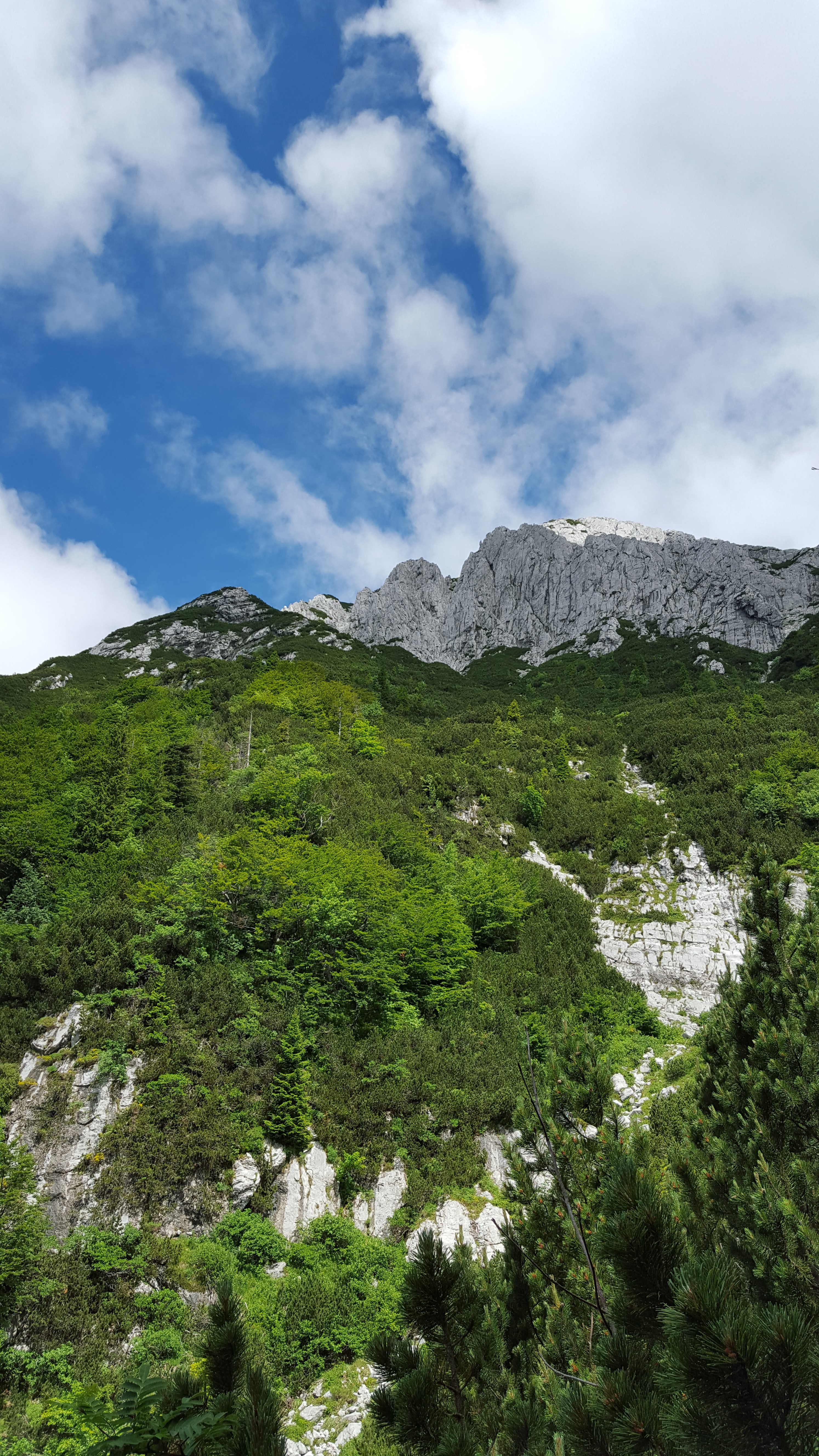 Slika