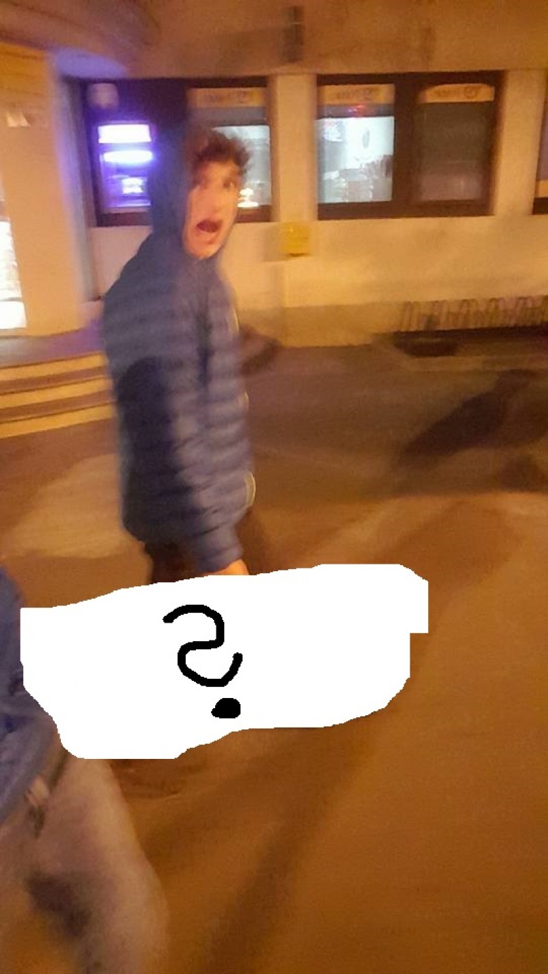 Slika