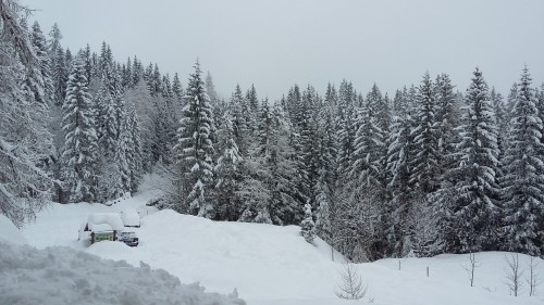 Slika