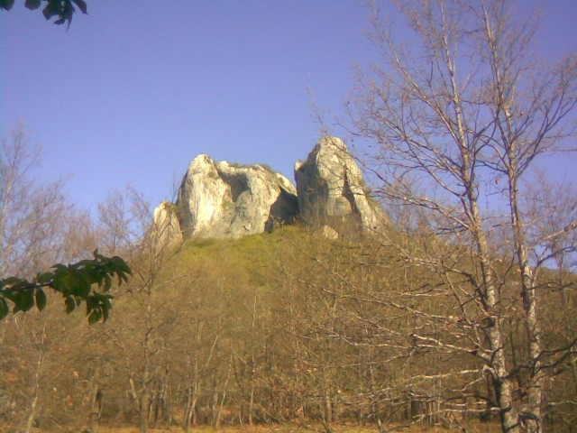 Slika