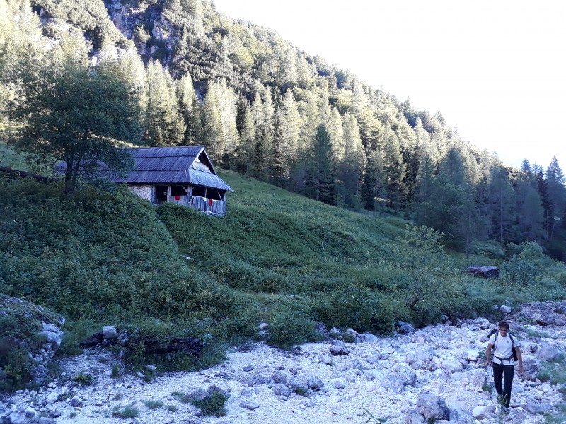 Slika