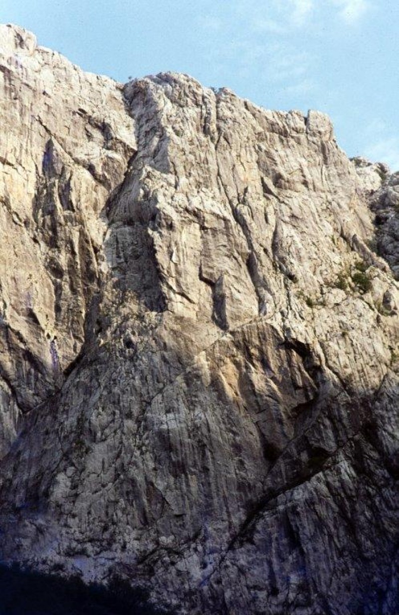 Slika